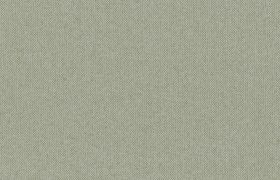 CAVO CAVO Gray Flannel 12